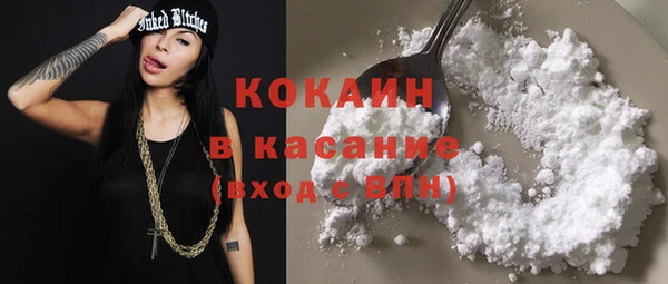 индика Иноземцево