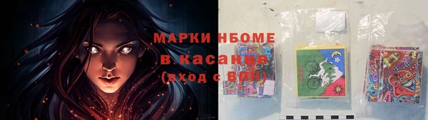 индика Иноземцево