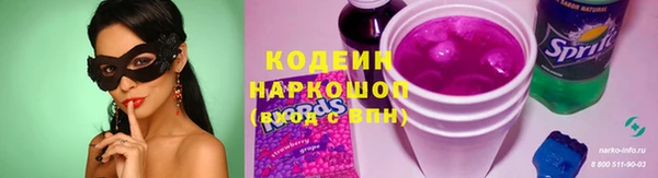 ECSTASY Елизово