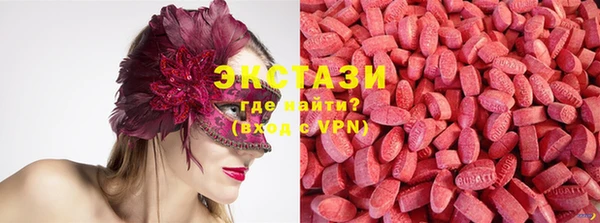 ECSTASY Елизово